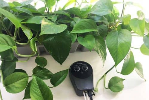 Купить Автополив BOXSAND таймер + насос для комнатных растений, серый по низкой цене