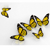 Купить Панель ПВХ Novita 3D Бабочка потолочная 2500х250 мм 8 штук по низкой цене