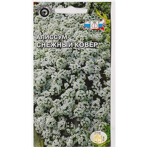 Купить Алиссум Снежный ковер 1 г Седек по низкой цене