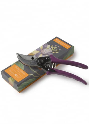 Купить Секатор Passiflora Collection Burgon & Ball по низкой цене