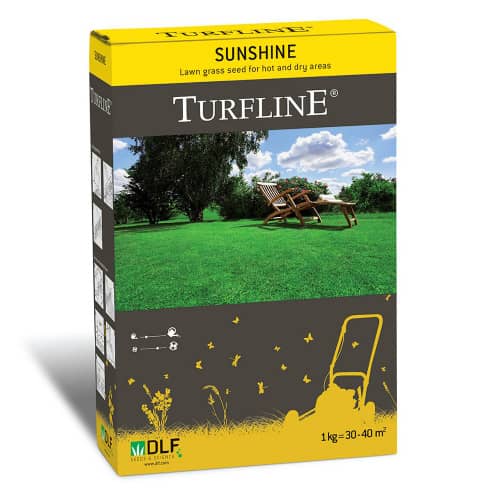 Купить Газонная трава Sunshine 1 кг по низкой цене