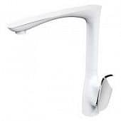 Купить Смеситель Raiber Dunis R1202 для кухни, однорычажный, боковой по низкой цене