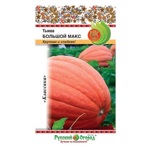 Купить Тыква Большой Макс 1 г Русский огород по низкой цене