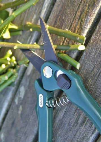 Купить Секатор флористический Burgon & Ball по низкой цене