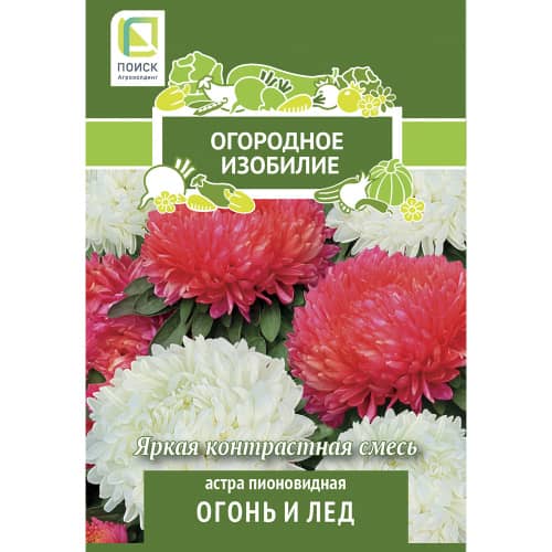 Купить Астра пионовидная Огонь и лед по низкой цене