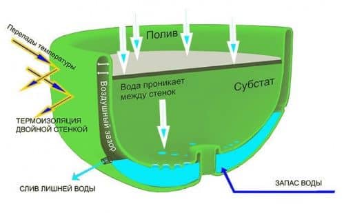 Купить Вазон BOXSAND для вертикального озеленения с накопителем влаги и дренажем 750 мм по низкой цене