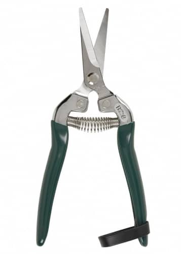 Купить Ножницы для фруктов и цветов Burgon & Ball по низкой цене