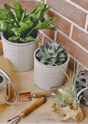 Купить Кашпо керамическое, L Tuscany Grey Indoor Pots Collection Burgon & Ball по низкой цене