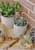 кашпо керамическое, l tuscany grey indoor pots collection burgon & ball Купить Кашпо керамическое, L Tuscany Grey Indoor Pots Collection Burgon & Ball по низкой цене