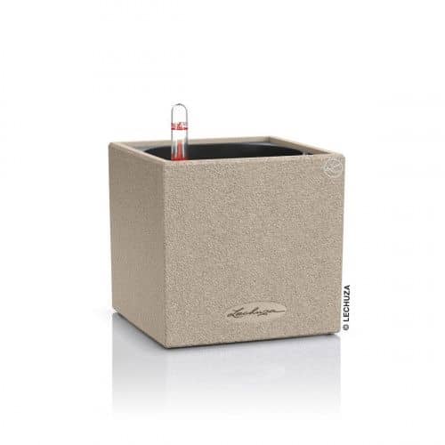 Купить Кашпо Lechuza Canto Stone Complete sandy beige 14x14x14 см по низкой цене