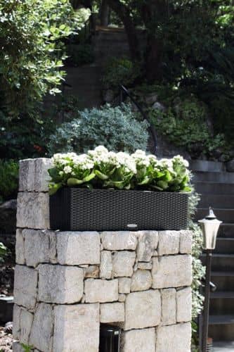 Купить Кашпо Lechuza Balconera Cottage 80 см по низкой цене