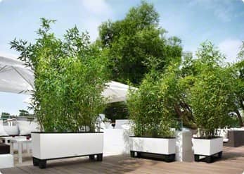 Купить Кашпо Lechuza Trio Cottage 40 см по низкой цене