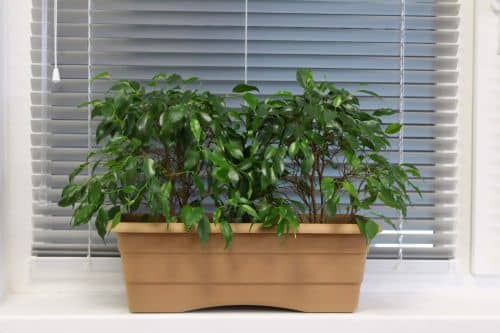 Купить Ящик ГарденПласт №1 балконный для цветов 6 л по низкой цене