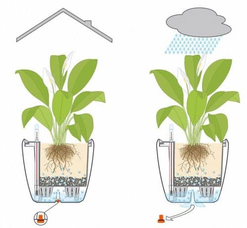 Купить Кашпо Lechuza Quadro LS 28 см по низкой цене