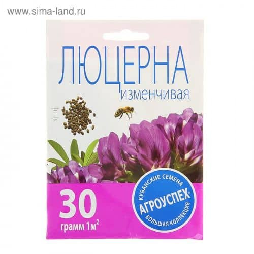 Купить Газон Агроуспех Люцерна Изменчивая по низкой цене