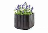 Купить Горшок цветочный Keter Cube Planter L по низкой цене