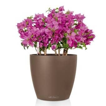 Купить Кашпо Lechuza Classico Color 43 см по низкой цене