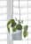 подвесное кашпо dip indoor pots collection burgon & ball Купить Подвесное кашпо Dip Indoor Pots Collection Burgon & Ball по низкой цене