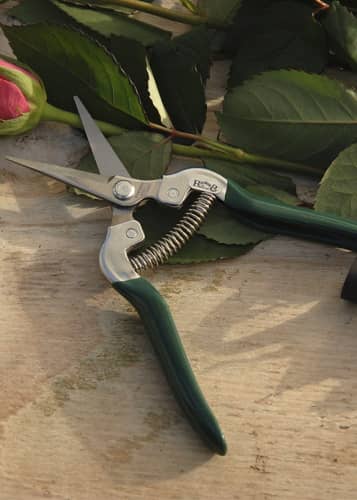 Купить Ножницы для фруктов и цветов Burgon & Ball по низкой цене