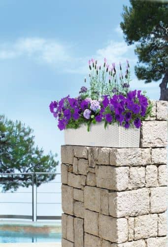 Купить Кашпо Lechuza Balconera Cottage 80 см по низкой цене