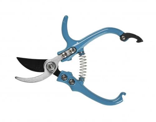 Купить Секатор Burgon & Ball Brie Harrison для комнатных растений, в чехле по низкой цене