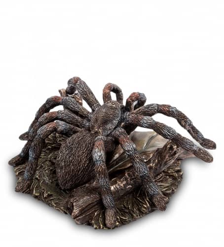 Купить Статуэтка Veronese Паук Тарантул WS-780 по низкой цене