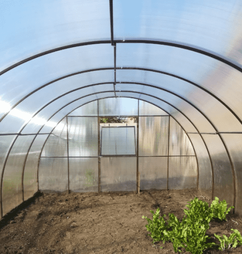 Купить Теплица Степная 4 из поликарбоната 4000х4000х2500 мм по низкой цене