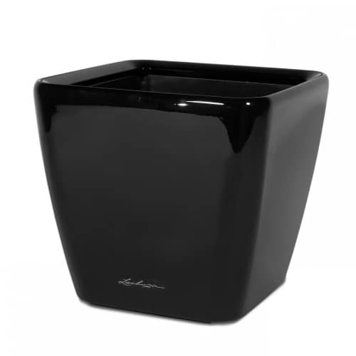 Купить Кашпо Lechuza Quadro LS Complete black high gloss 21x21x20 см по низкой цене