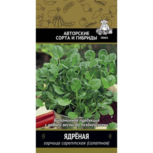 Купить Горчица салатная Ядреная по низкой цене