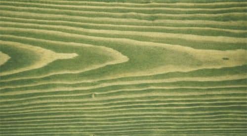 Купить Масло-лазурь DECKEN BioFasad Oil зеленое защитное для древесины по низкой цене