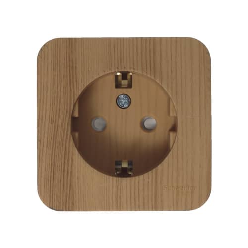 Купить Розетка Schneider Electric Бланка с заземлением ясень по низкой цене