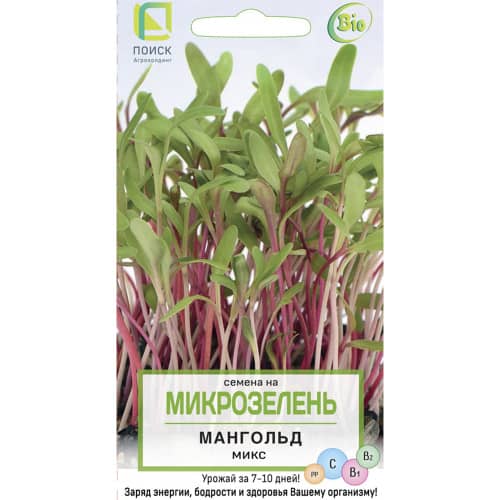 Купить МикроЗелень Мангольд Микс по низкой цене