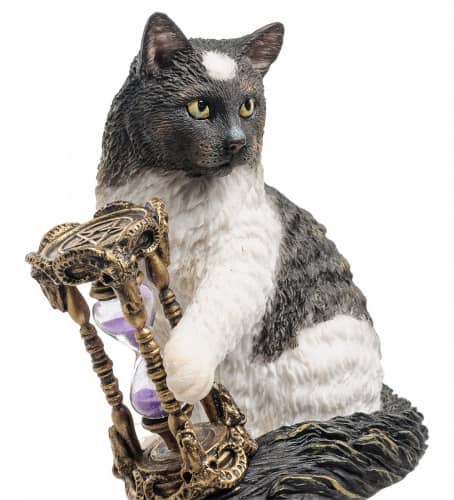 Купить Статуэтка Veronese Кот с песочными часами WS-842 по низкой цене