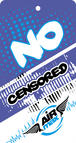 Купить Ароматизатор Air Max подвесной Dual Extase Silver по низкой цене