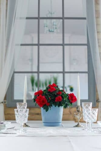 Купить Горшок ГарденПласт Фрезия 2 цветочный 3 л по низкой цене