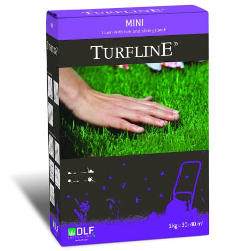 Купить Газонная травосмесь Мини 1 кг по низкой цене