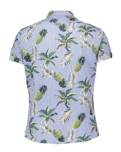 Купить Рубашка Piazza Italia светло-голубая по низкой цене