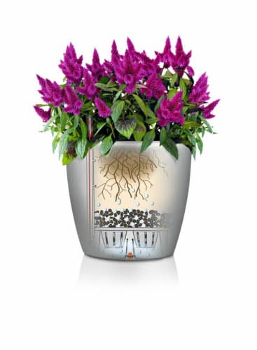 Купить Кашпо Lechuza Classico Color 43 см по низкой цене