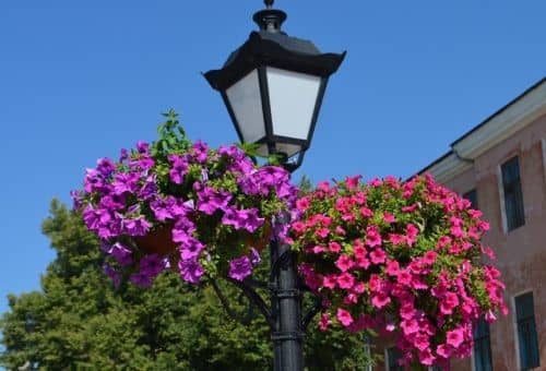 Купить Вазон BOXSAND с накопителем влаги и дренажем 450 мм по низкой цене