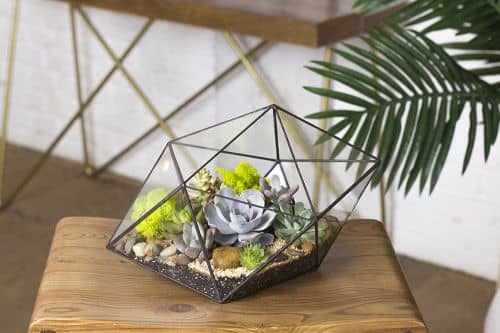 Купить Флорариум Levitera Кристалл по низкой цене