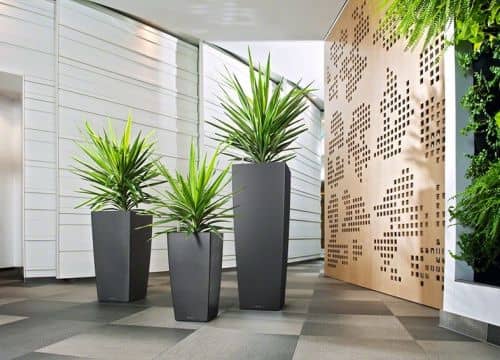 Купить Кашпо Lechuza Cubico 30 см по низкой цене