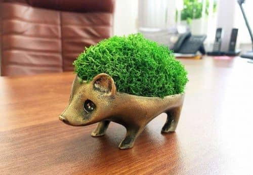 Купить Горшок BOXSAND Ежик по низкой цене