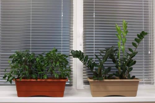 Купить Ящик ГарденПласт №1 балконный для цветов 6 л по низкой цене