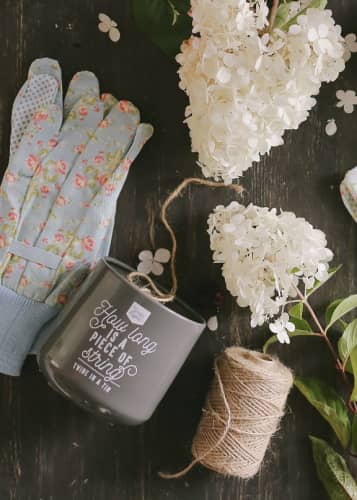 Купить Джутовая садовая веревка в контейнере Charcoal Garden Suppliers Burgon & Ball по низкой цене