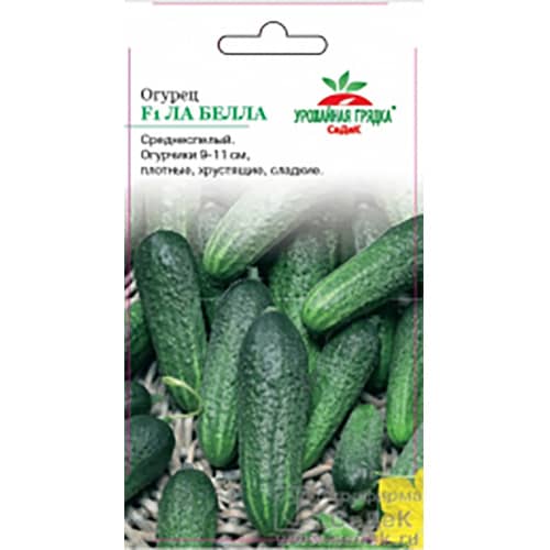 Купить Огурец Ла Белла F1 УГ, 0,2 г по низкой цене