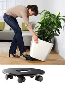 Купить Кашпо Lechuza Quadro LS 28 см по низкой цене