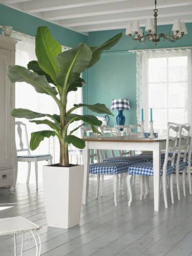Купить Кашпо Lechuza Cubico Color 30 см по низкой цене