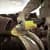 угловая шлифмашина stanley sl229s-ru 2200 вт 230 мм Купить Угловая шлифмашина STANLEY SL229S-RU 2200 Вт 230 мм по низкой цене