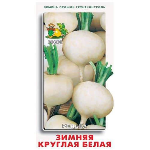 Купить Редька Зимняя круглая белая по низкой цене