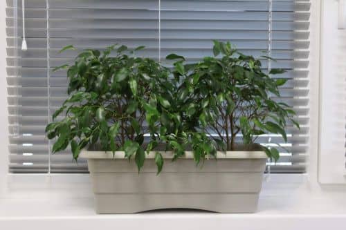 Купить Ящик ГарденПласт №1 балконный для цветов 6 л по низкой цене